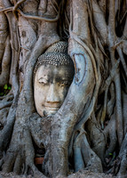 Ayutthaya Historical Park