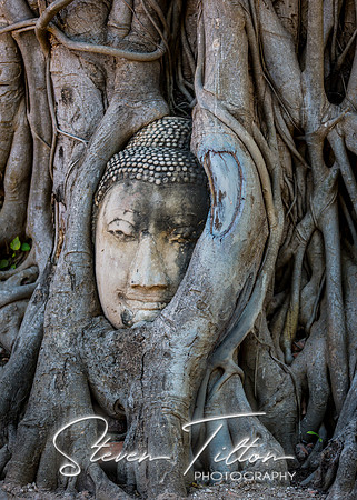 Ayutthaya Historical Park