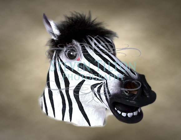 Photobooth Masks
