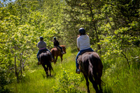 Horseback Riding
