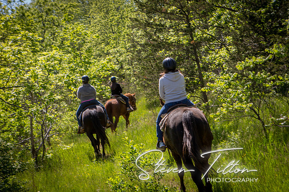 Horseback Riding