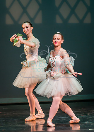 Destiny Winter Gala 2013