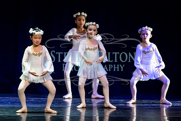 DDI Winter Gala III