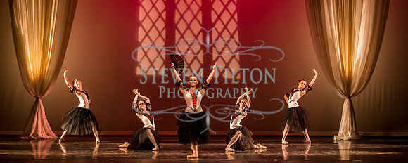 Destiny Winter Gala 2013