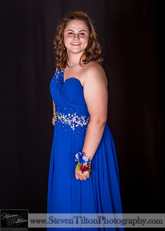 WFHS 2014 Military Ball