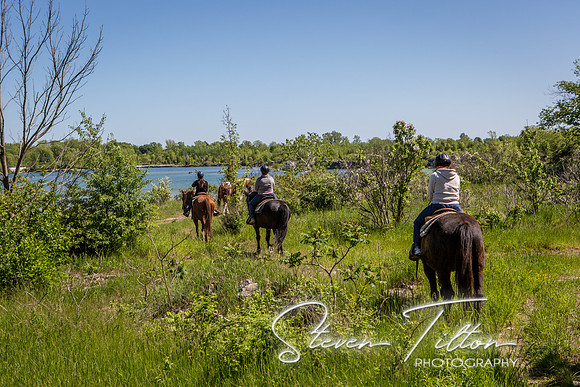 Horseback Riding