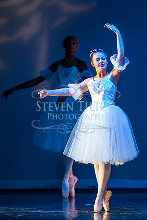 DDI - A Winter Gala