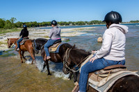 Horseback Riding