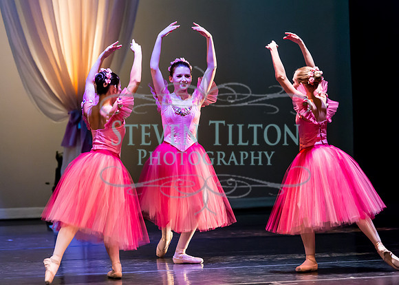 DDI - A Winter Gala