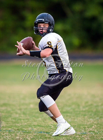 Apex @ Wake Forest JV Football