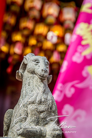 Hong Kong Travels
