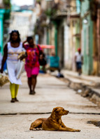 Historic Havana Cuba