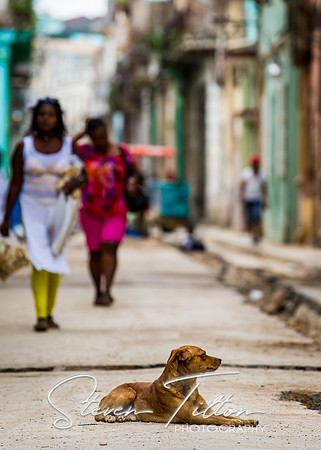 Historic Havana Cuba