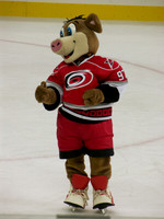 Hurricanes vs. Capitals