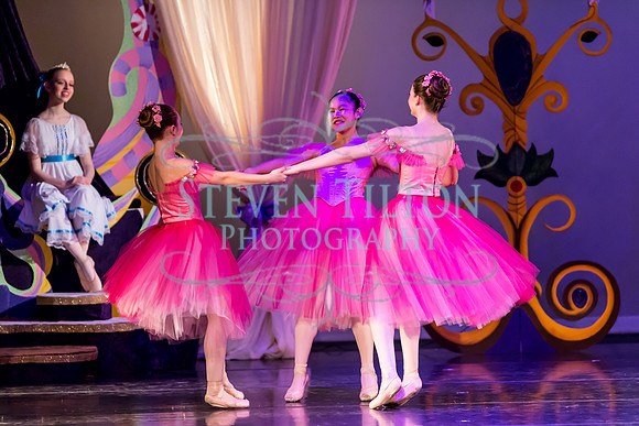 DDI - A Winter Gala