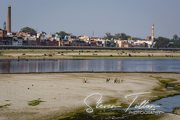 The Yamuna River outside of the Tomb of I'timad-ud-Daulah