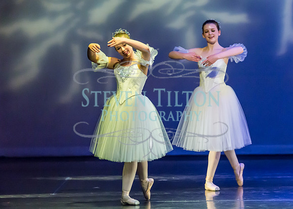 DDI Winter Gala III