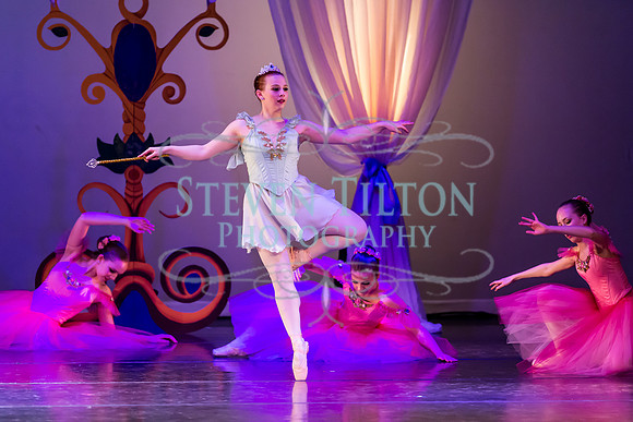 DDI - A Winter Gala