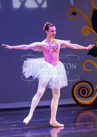 DDI - A Winter Gala
