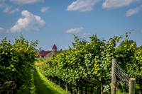 Horton Cellars Winery