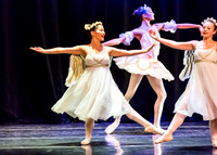 DDI - A Winter Gala