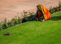 Working in the main garden of Agra Fort.