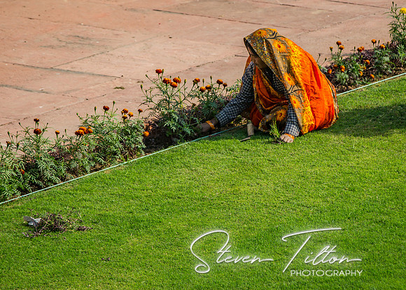 Working in the main garden of Agra Fort.