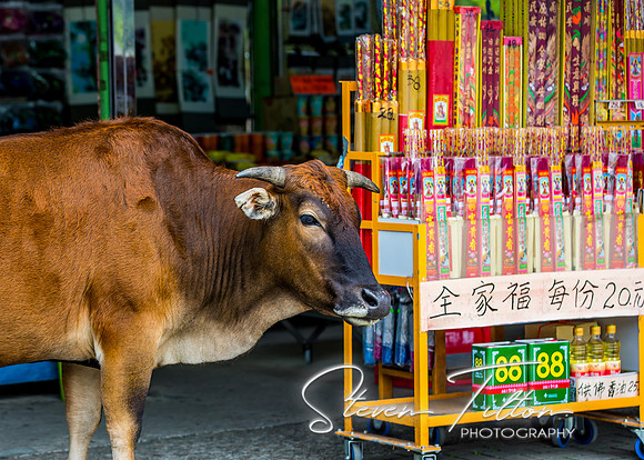 Ngong Ping Village