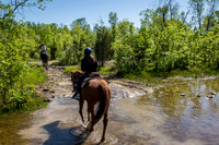 Horseback Riding
