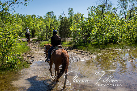 Horseback Riding