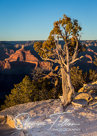 Grand Canyon National Park