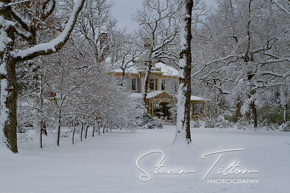 Christmas Snow