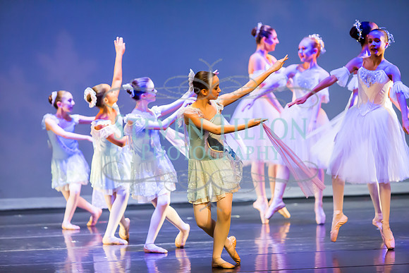 DDI - A Winter Gala
