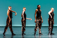 Destiny Dance - A Summer Gala