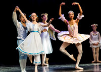 DDI Winter Gala III