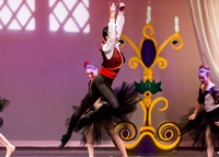 DDI - A Winter Gala