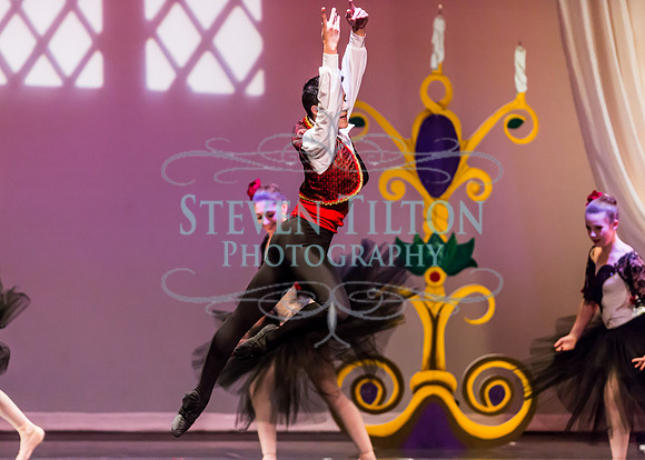 DDI - A Winter Gala
