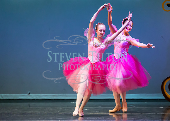 DDI - A Winter Gala