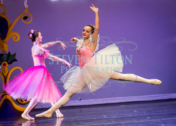 DDI Winter Gala III