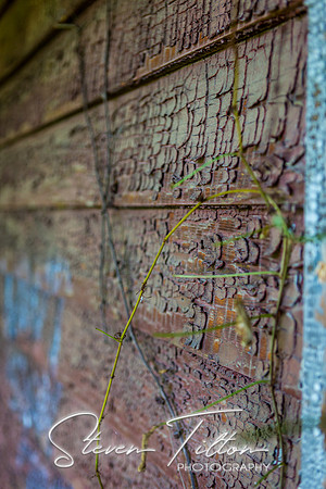 Abandoned Henderson Home