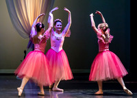DDI Winter Gala III