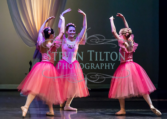 DDI Winter Gala III