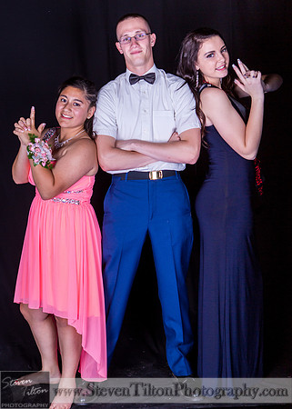 WFHS 2014 Military Ball