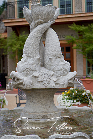 Visiting Biltmore Estates
