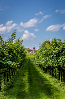 Horton Cellars Winery