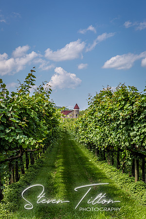 Horton Cellars Winery