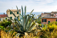Corniglia, Italy