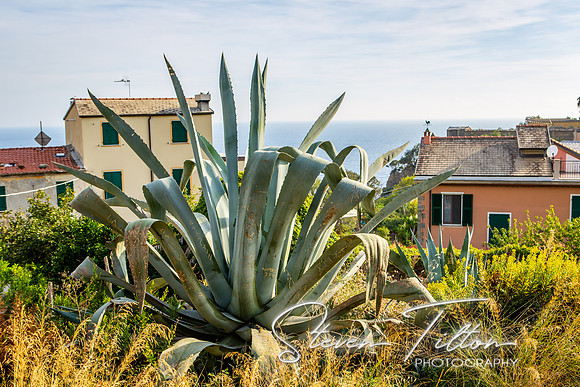 Corniglia, Italy