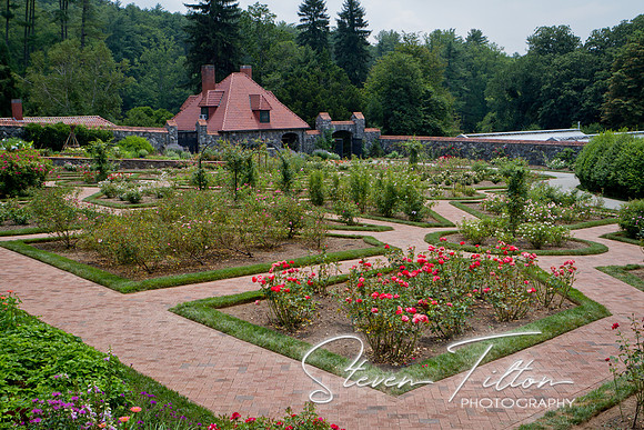 Visiting Biltmore Estates
