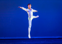 DDI - A Winter Gala